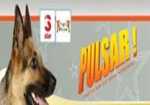 Pulsar