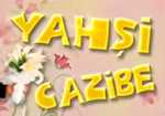 Yahşi Cazibe